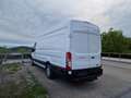 Ford Transit Bus Kasten 2,0 EcoBlue HD L4H3 Trend Weiß - thumbnail 7