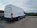 Ford Transit Bus Kasten 2,0 EcoBlue HD L4H3 Trend Weiß - thumbnail 5