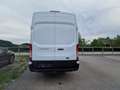Ford Transit Bus Kasten 2,0 EcoBlue HD L4H3 Trend Weiß - thumbnail 6
