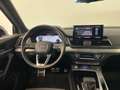 Audi Q5 Q5 SPB 40 TDI quattro S tronic S line plus Gris - thumbnail 15