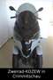 Piaggio MP3 310 Sport hpe mit 4 Jahren Garantie Gris - thumbnail 5