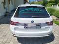 Skoda Superb Superb Kombi 1,6 TDI Active Active Weiß - thumbnail 4
