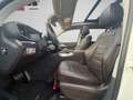 Mercedes-Benz GLS 580 4Matic AMG-Line 7Sitz*Pano*23"*63AMG*AHK Weiß - thumbnail 10