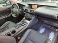 Lexus IS 300 300h Executive Tecno + Navibox Szürke - thumbnail 18
