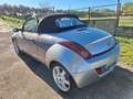Ford Streetka 1.6 95CV LEATHER COLLECTION Argento - thumbnail 7