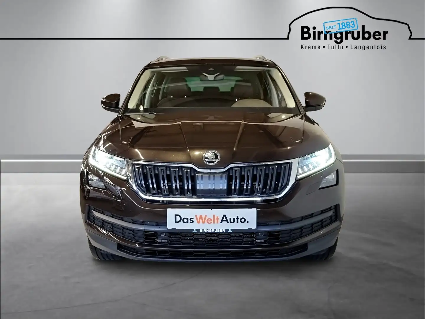 Skoda Kodiaq 4x4 Style TDI SCR DSG Braun - 2