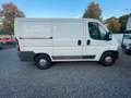Fiat Ducato Kasten 28 100 aus 1. Hand m. neuem TÜV! Weiß - thumbnail 7