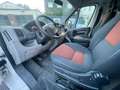 Fiat Ducato Kasten 28 100 aus 1. Hand m. neuem TÜV! Weiß - thumbnail 16