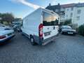 Fiat Ducato Kasten 28 100 aus 1. Hand m. neuem TÜV! Weiß - thumbnail 4