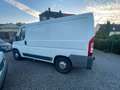 Fiat Ducato Kasten 28 100 aus 1. Hand m. neuem TÜV! Weiß - thumbnail 3