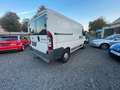 Fiat Ducato Kasten 28 100 aus 1. Hand m. neuem TÜV! Weiß - thumbnail 6
