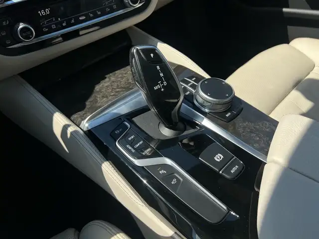 BMW 5 Series view 13