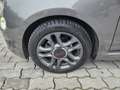 Fiat 500 500 1.0 hybrid Sport 70cv Grigio - thumbnail 5