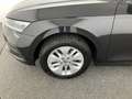 Skoda Octavia 4x4 Ambition TDI DSG Schwarz - thumbnail 10