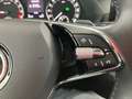 Skoda Octavia 4x4 Ambition TDI DSG Schwarz - thumbnail 17