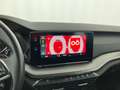 Skoda Octavia 4x4 Ambition TDI DSG Schwarz - thumbnail 21