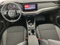 Skoda Octavia 4x4 Ambition TDI DSG Schwarz - thumbnail 19