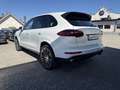 Porsche Cayenne II Platinum Edition Aut. Weiß - thumbnail 9