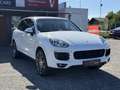 Porsche Cayenne II Platinum Edition Aut. Weiß - thumbnail 3
