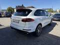 Porsche Cayenne II Platinum Edition Aut. Weiß - thumbnail 6