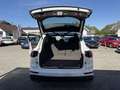 Porsche Cayenne II Platinum Edition Aut. Weiß - thumbnail 19