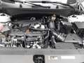Kia Sportage SPORTAGE 1.6 T-GDI 150 SPIRIT MJ24 LED SITZH. Blanc - thumbnail 16