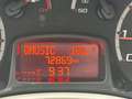 Ford Ka/Ka+ 1.2 Titanium X Distributie vervangen bij 69DKM sta Wit - thumbnail 16