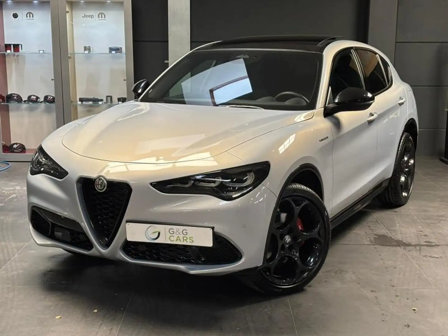 Alfa Romeo Stelvio VELOCE Grijs - 1