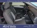 Volkswagen T-Roc Cabrio Active akt.PTS/RFK/APP/WR+SR Grün - thumbnail 22