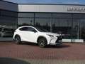 Lexus NX 300 h E-Four F Sport PANO HUD WKR Alb - thumbnail 4