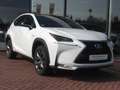 Lexus NX 300 h E-Four F Sport PANO HUD WKR Blanc - thumbnail 2