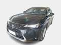 Lexus UX 200 Hybrid Business 2WD - thumbnail 1