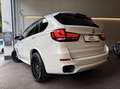BMW X5 xDrive30d Ö.-Paket Aut./M-PAKET/DIGITAl-TACHO/K... Weiß - thumbnail 42