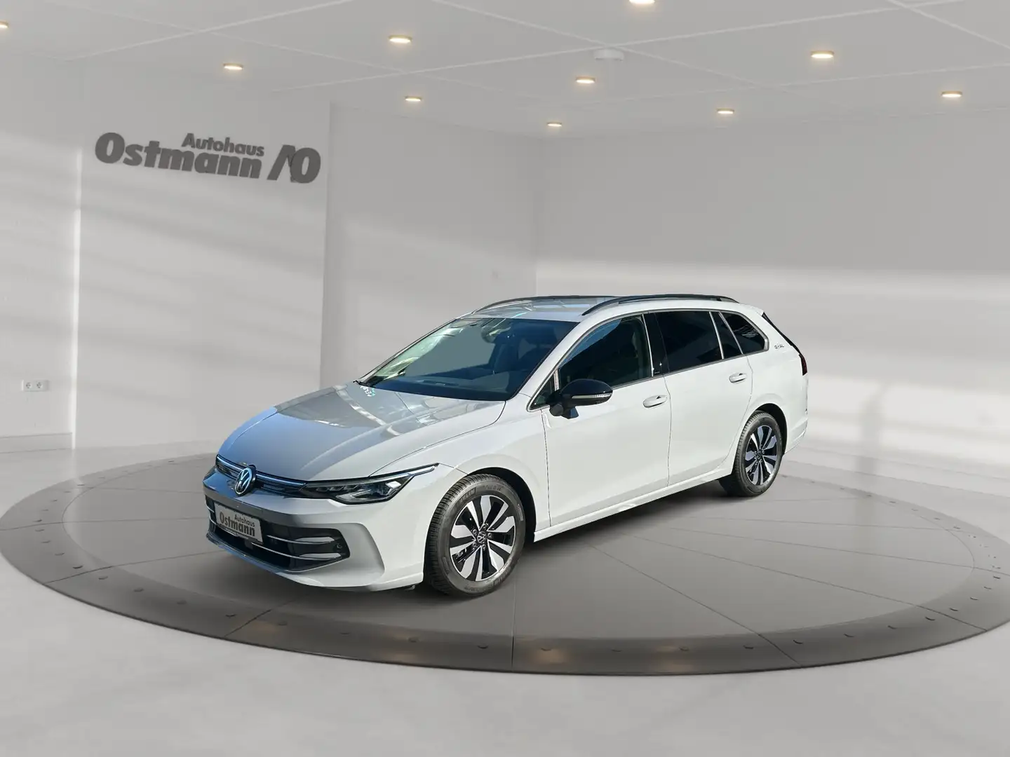 Volkswagen Golf Variant Golf VIII Variant 1.5 TSI Goal AHK LED Navi RFK Grau - 1