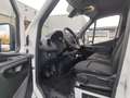 Mercedes-Benz Sprinter 214 CDI KA FWD L1 Klima+AHK+3-Sitze Bianco - thumbnail 11