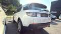 Land Rover Discovery Sport Basis AWD Weiß - thumbnail 6