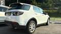 Land Rover Discovery Sport Basis AWD Weiß - thumbnail 5