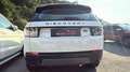 Land Rover Discovery Sport Basis AWD Weiß - thumbnail 7