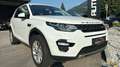 Land Rover Discovery Sport Basis AWD Weiß - thumbnail 3