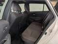 Toyota Corolla Touring Sports 125H Business Plus Blanco - thumbnail 9