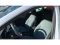 SEAT Ibiza Xcellence 1.0 TSI NAVI+LED+KLIMA+DAB Blanc - thumbnail 10