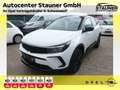 Opel Grandland X Grandland GS 1.2 AT8 130PS *SHZ*ALCANTARA*LHZ* Weiß - thumbnail 1