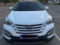 Hyundai SANTA FE Santa Fe 2.0CRDi 4x2 Klass Sky Nav 7s Blanco - thumbnail 5