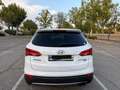 Hyundai SANTA FE Santa Fe 2.0CRDi 4x2 Klass Sky Nav 7s Blanco - thumbnail 6