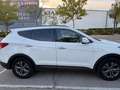 Hyundai SANTA FE Santa Fe 2.0CRDi 4x2 Klass Sky Nav 7s Blanco - thumbnail 7