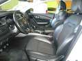 Renault Kadjar 1.7dCi Blue Zen 4x4 110kW Weiß - thumbnail 19