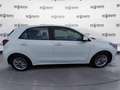 Kia Rio Rio 1.2 Evolution Gpl 82cv White - thumbnail 11
