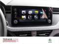 Skoda Kamiq 1.0l TSI Selection KLIMA WINTER COMFORT Grau - thumbnail 13