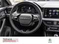 Skoda Kamiq 1.0l TSI Selection KLIMA WINTER COMFORT Grau - thumbnail 11