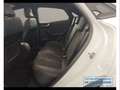 Ford Puma 1.0 EcoBoost Hybrid ST-Line X Bianco - thumbnail 11